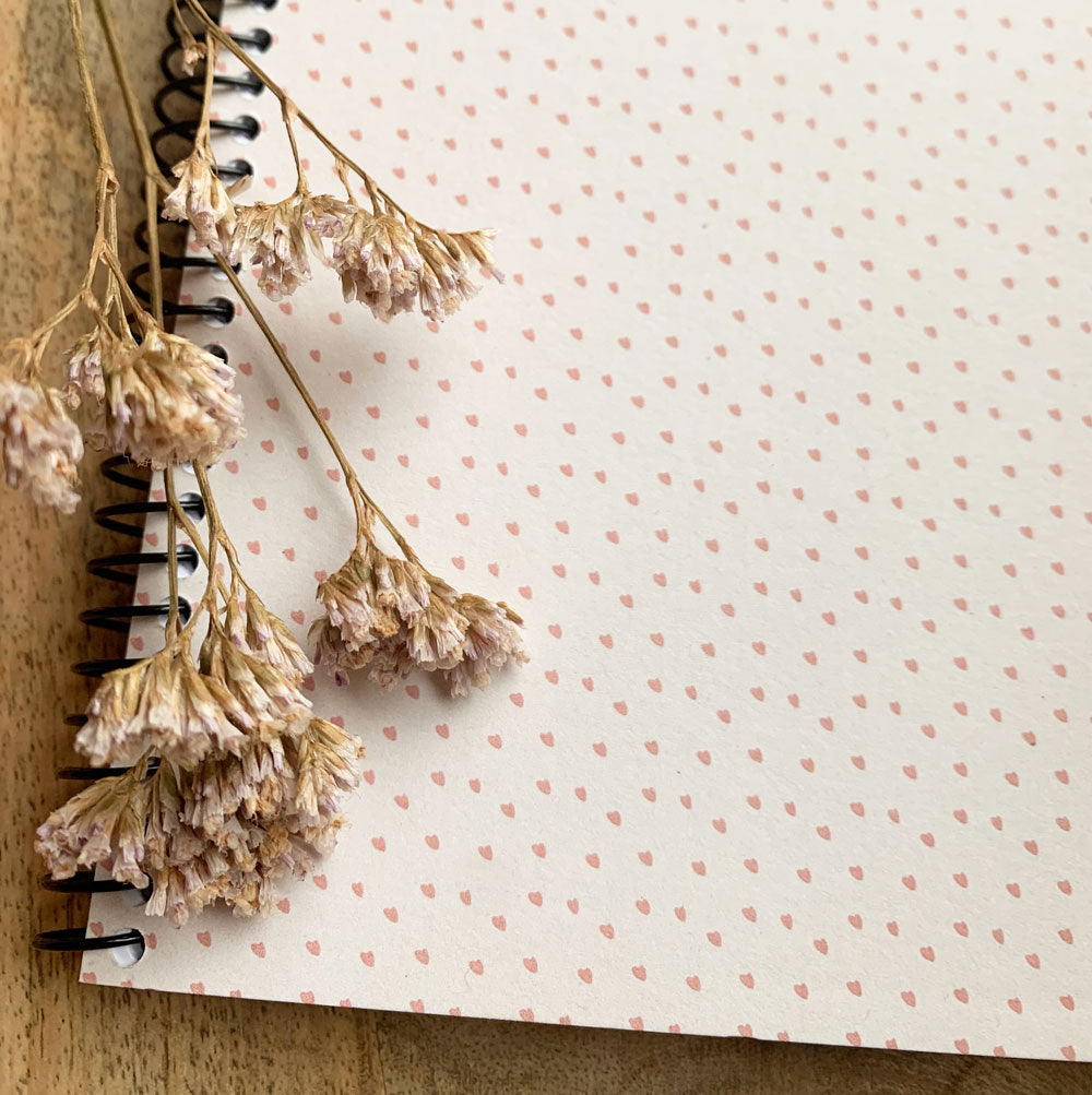 Libretas navideñas